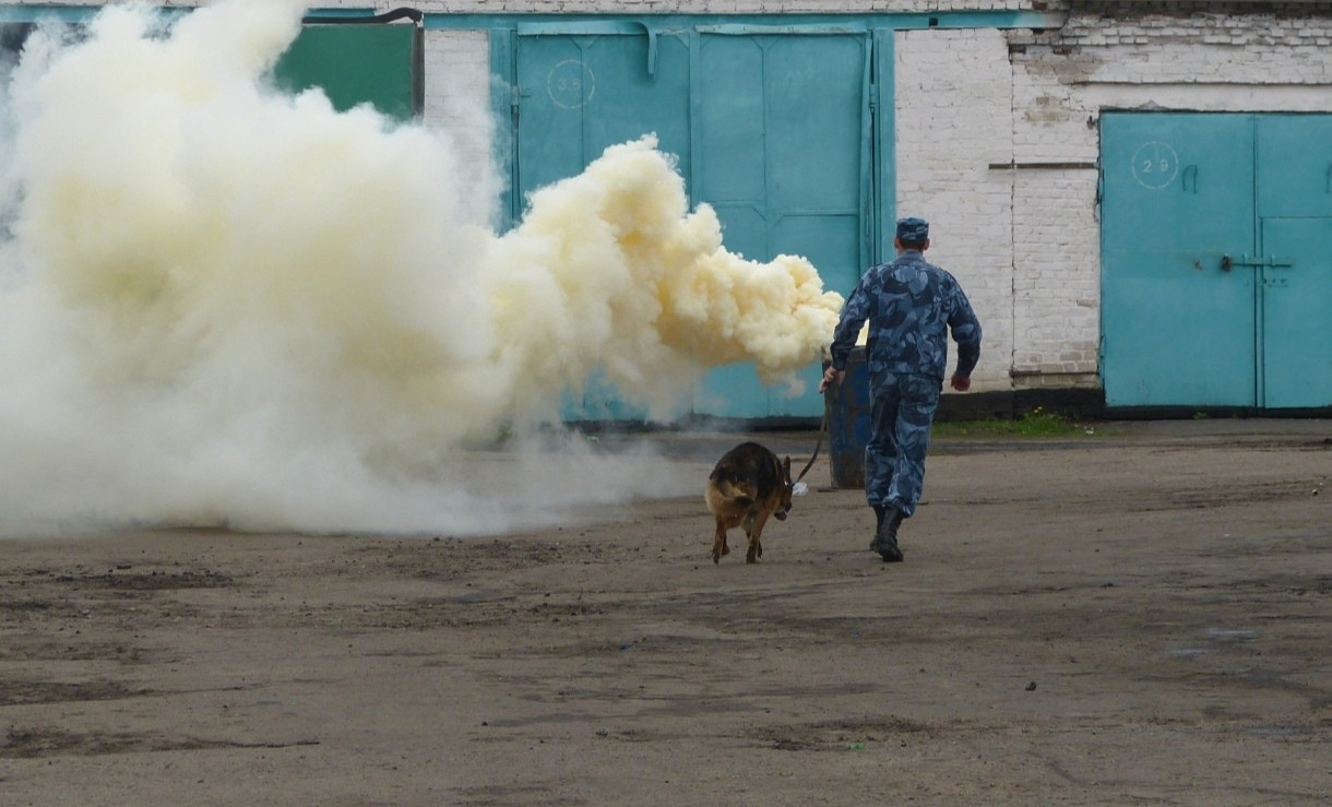 Фото: УФСИН России по Воронежской области