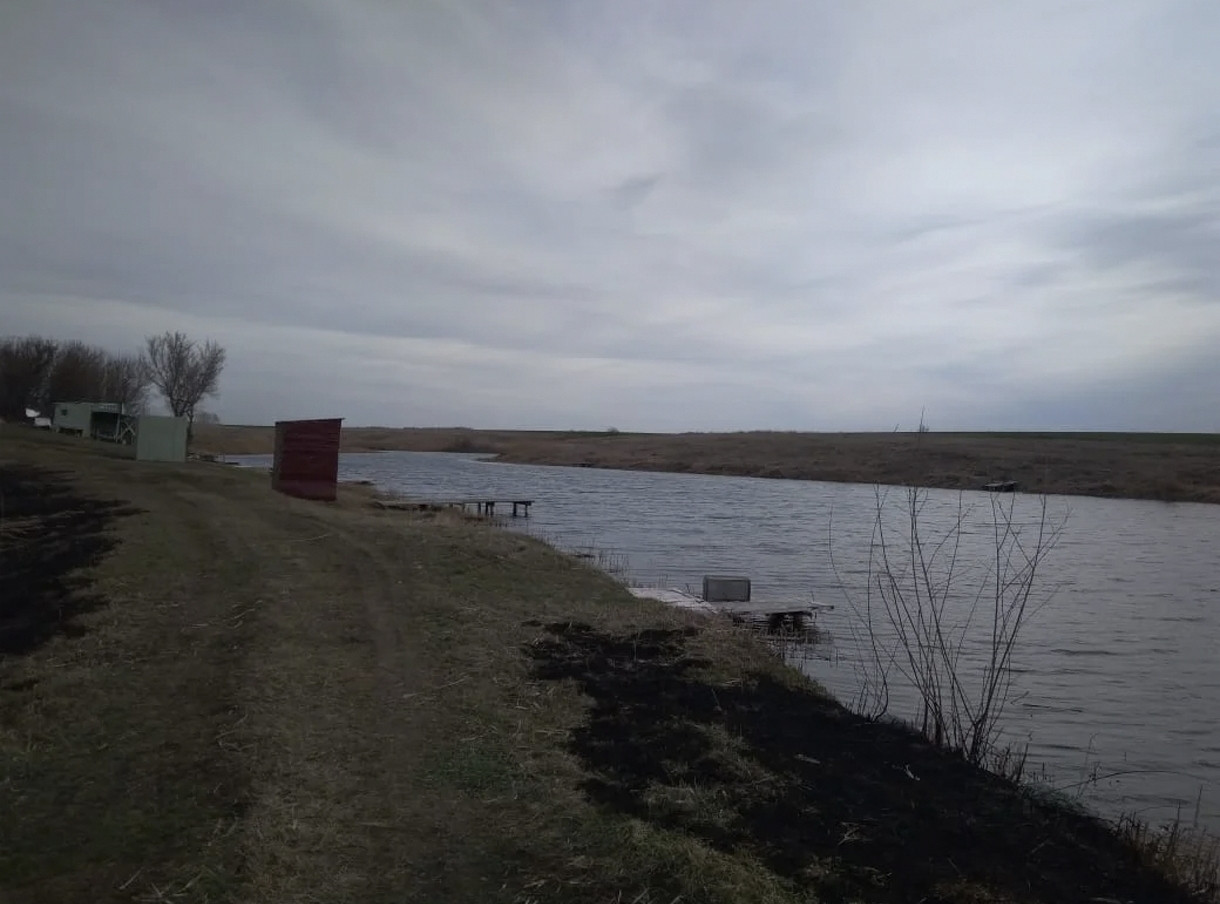 Пенсионер утонул пруду в автомобиле в Воронежской области