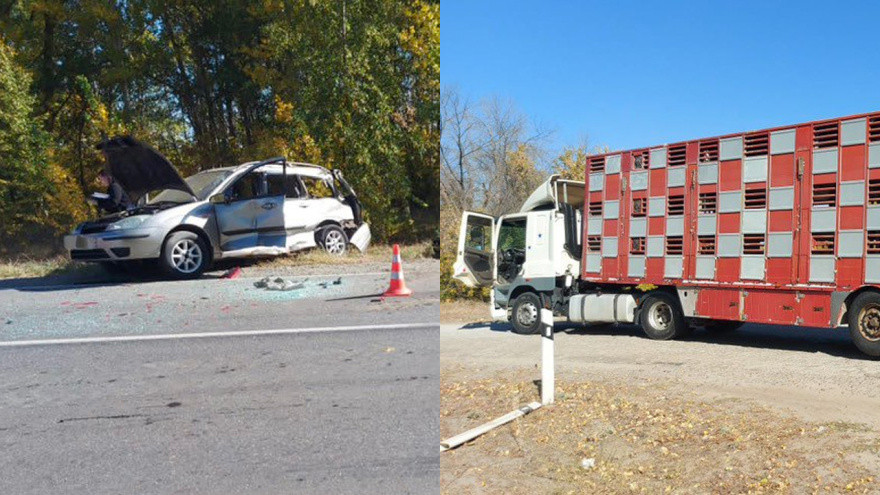 Фото: МВД по Воронежской области