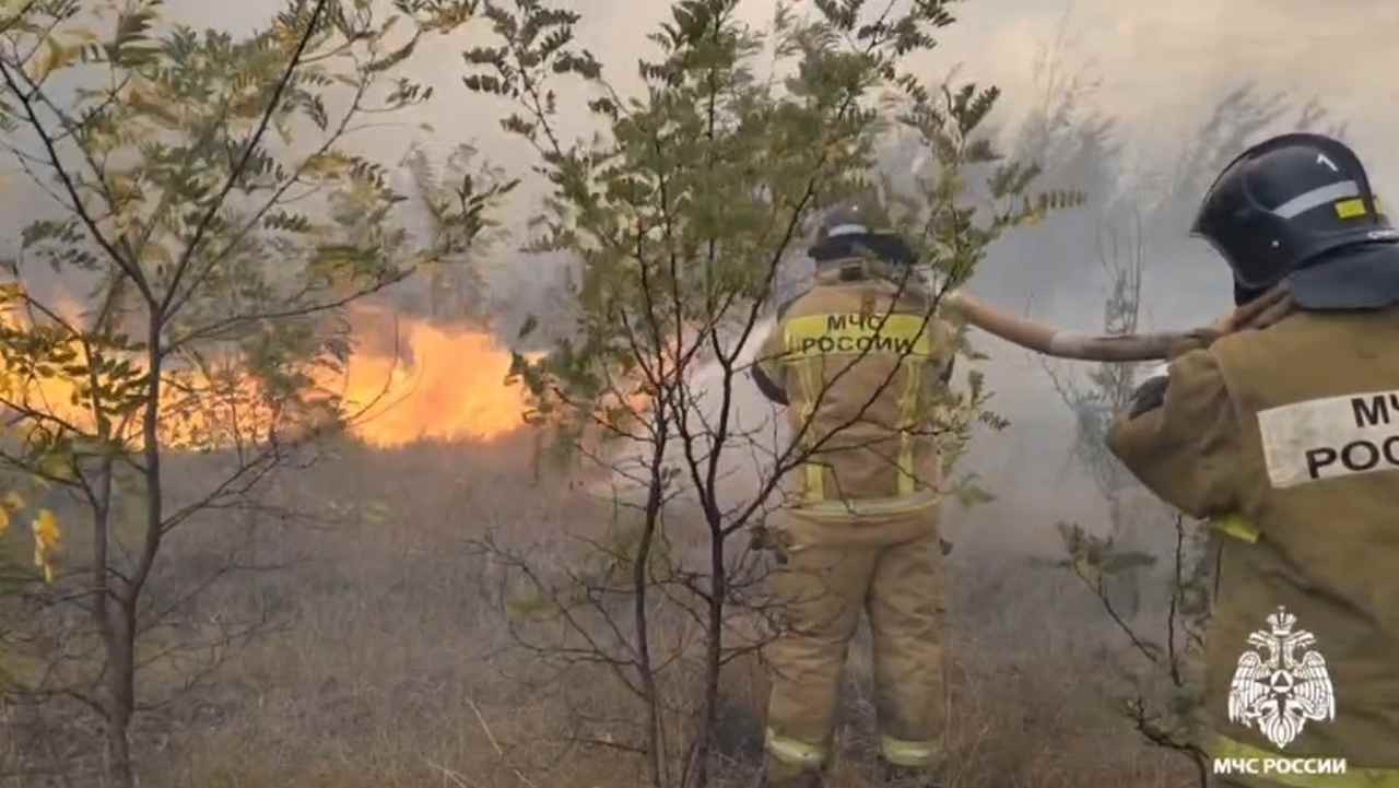 Фото: 
пресс-служба ГУ МЧС по Воронежской области