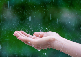 Close-up of wet female hands in rain