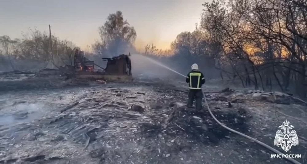 Фото: МЧС России по Воронежской области 