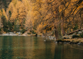 Calm mountain lake and autumn colorful fir trees along a rocky shoreline