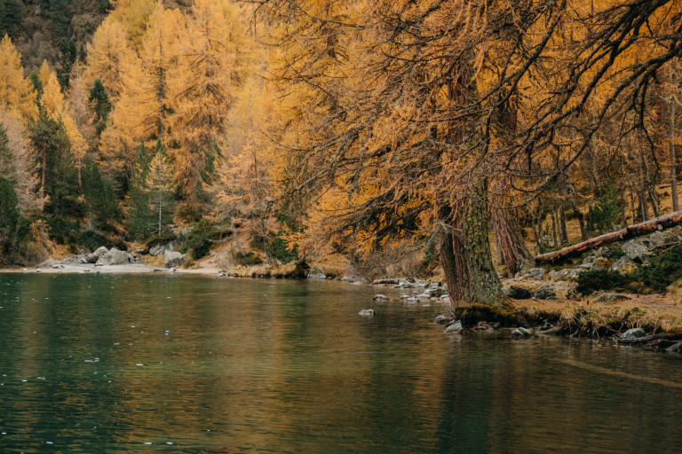 Calm mountain lake and autumn colorful fir trees along a rocky shoreline