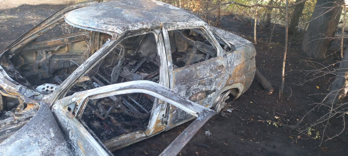 Фото: полиция Воронежской области 