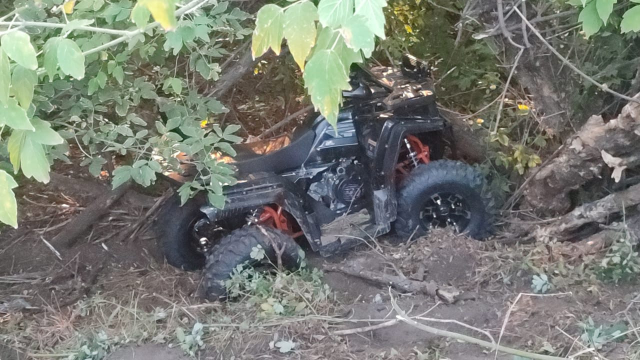 фото: полиция Воронежской области 