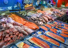 fish-market-800015_1920-e1649265237430-881x523