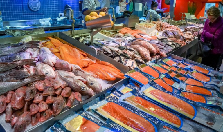 fish-market-800015_1920-e1649265237430-881x523