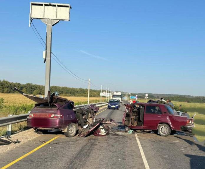 фото: полиция Воронежской области 