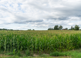 Mesmerizing shot of scenic and cloudy sky above the field