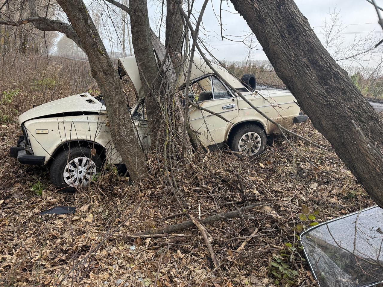 Фото: Полиция Воронежской области 