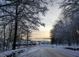 Road surrounded by trees and buildings covered in the snow during the sunset in Larvik in Norway