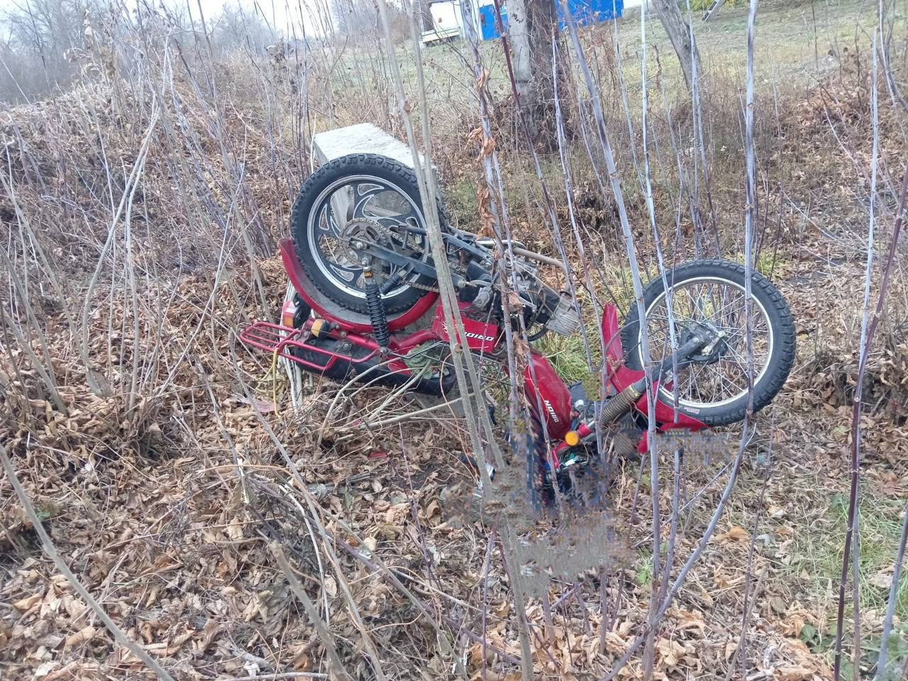 Фото: Полиция Воронежской области 